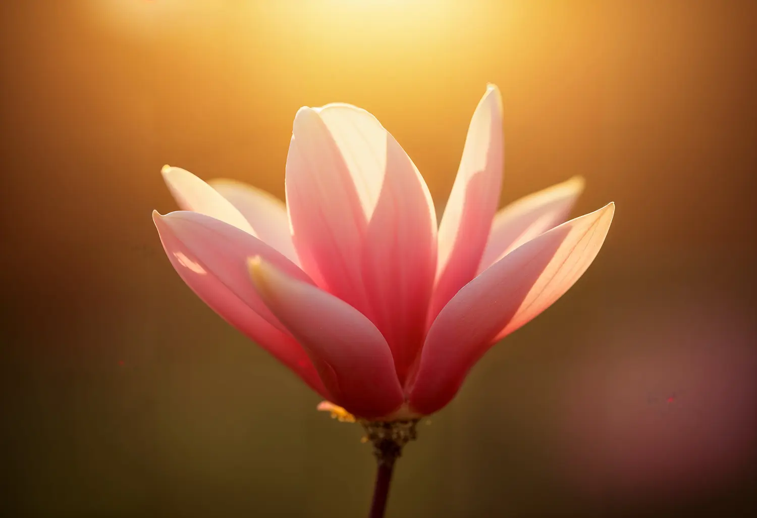 música consciente, música medicina, sanación a través de la música, voz y psicoterapia, voz del corazón, expresión vocal consciente, expresión emocional a través de la voz, creatividad y salud mental, terapia para artistas musicales, acompañamiento emocional para músicos, psicóloga humanista Barcelona, centro de psicología Barcelona, Eva González Menal, terapia online España, psicoterapia online, psicoterapia online Barcelona, psicóloga online Barcelona, psicoterapeuta Barcelona, psicoterapia para artistas, psicoterapia para personas creativas, psicóloga para creativos, terapia para artistas, terapia creativa, psicoterapia humanista, psicoterapia integradora, acompañamiento emocional online, terapia para personas sensibles, desarrollo personal online, autorrealización personal, psicoterapia consciente, psicoterapia para músicos, terapia para músicos, psicoterapia y música, música y bienestar emocional